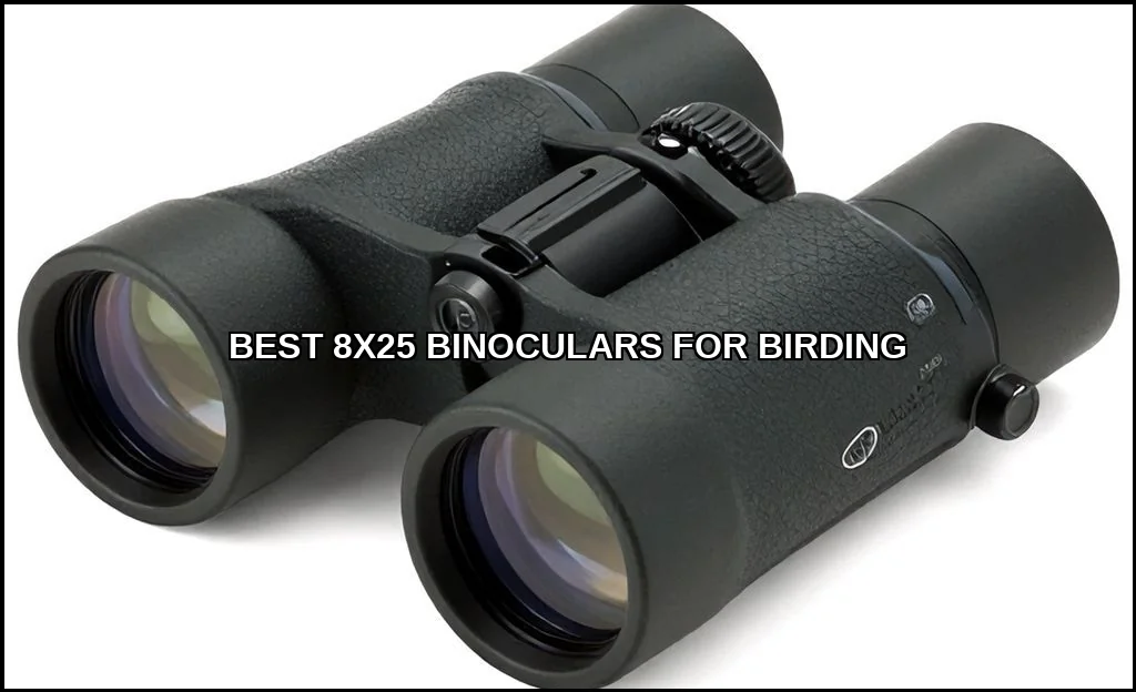 Best 8x25 binoculars for birding