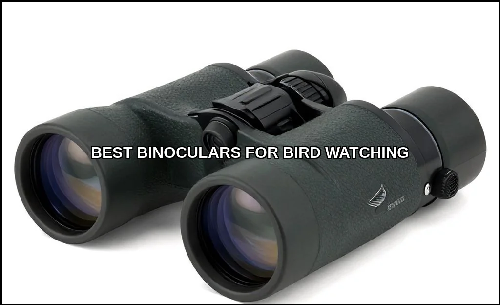 Best binoculars for bird watching