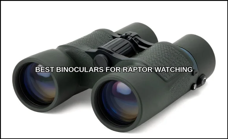 Best binoculars for raptor watching