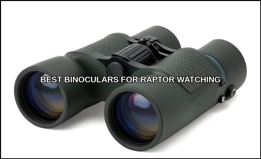 Best binoculars for raptor watching