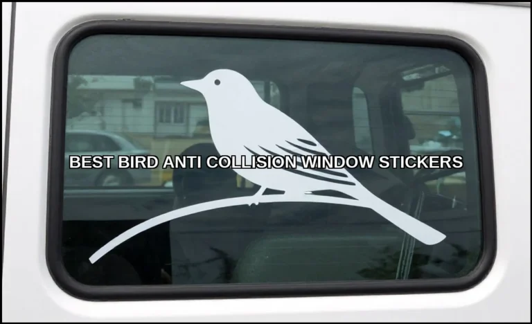Best bird anti collision window stickers