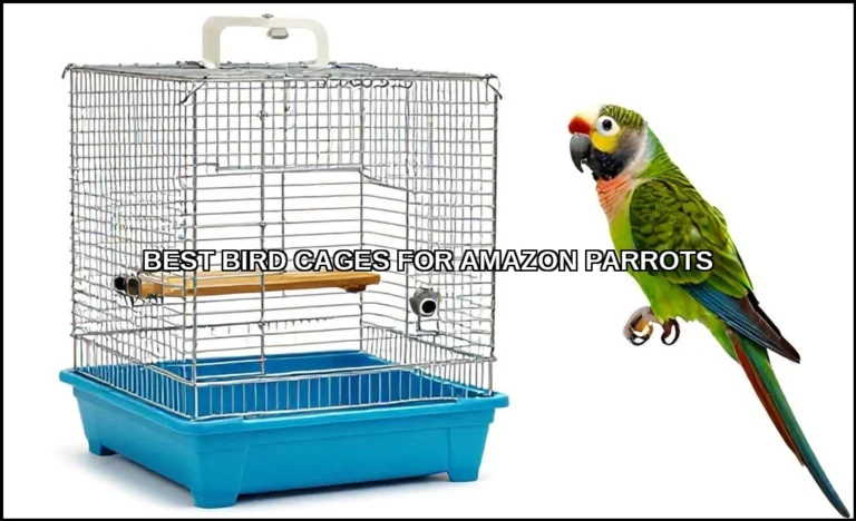 Best bird cages for amazon parrots