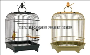 Best bird cages for breeding