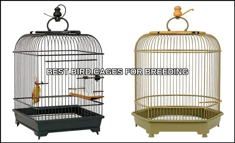 Best bird cages for breeding