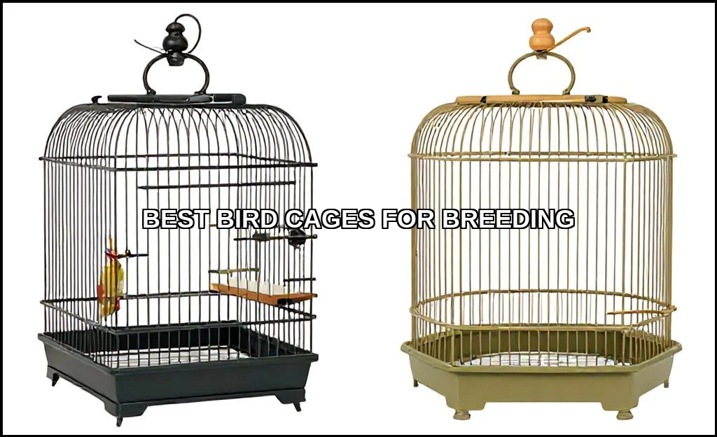 Best bird cages for breeding