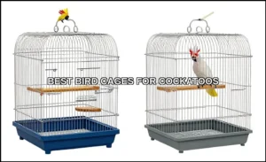 Best bird cages for cockatoos