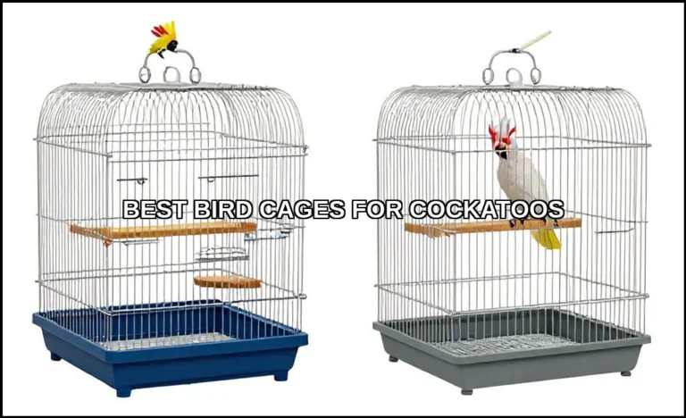 Best bird cages for cockatoos