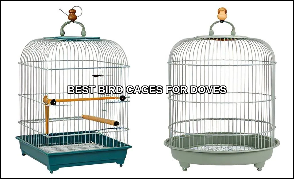 Best bird cages for doves