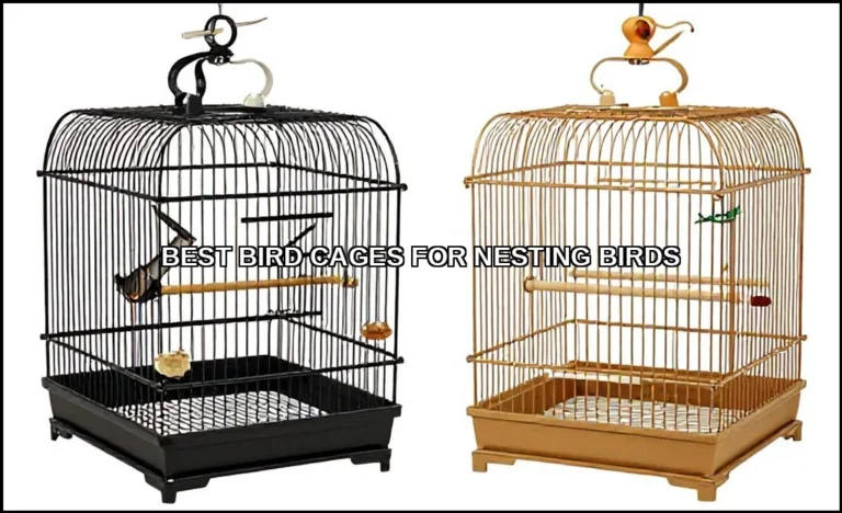 Best bird cages for nesting birds
