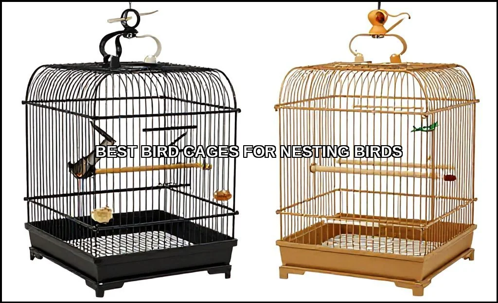 Best bird cages for nesting birds