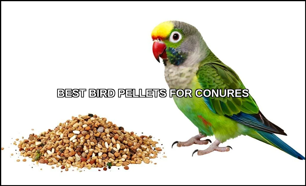 Best bird pellets for conures