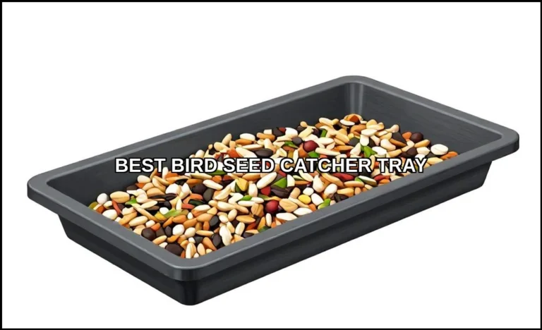 Best bird seed catcher tray