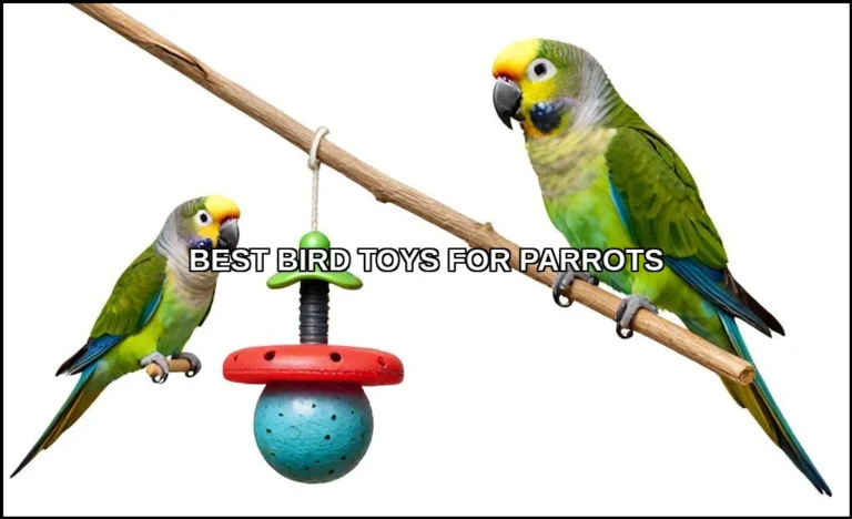 Best bird toys for parrots