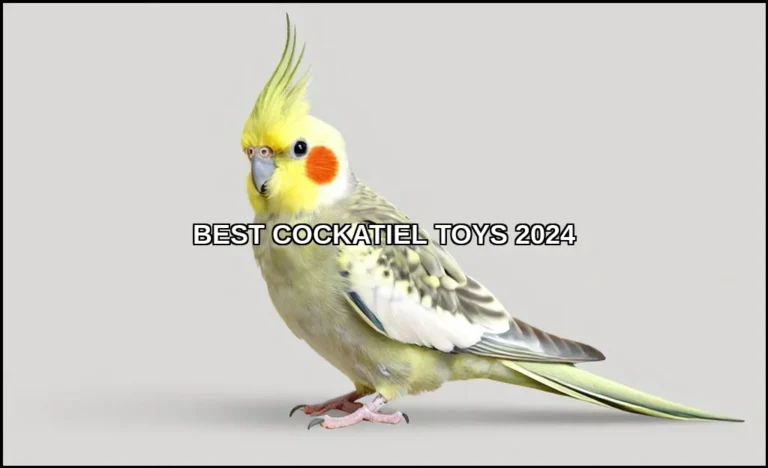 Best cockatiel toys 2024