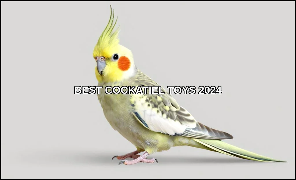 Best cockatiel toys 2024