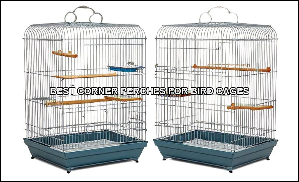 Best corner perches for bird cages