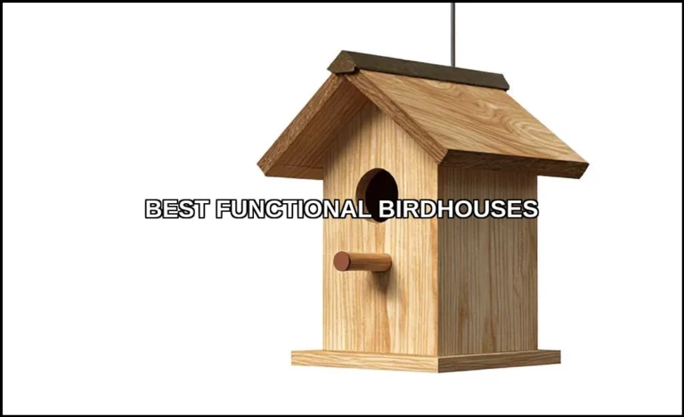 Best functional birdhouses