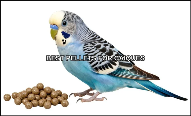 Best pellets for caiques