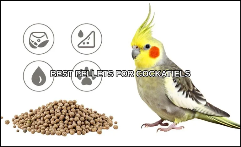 Best pellets for cockatiels