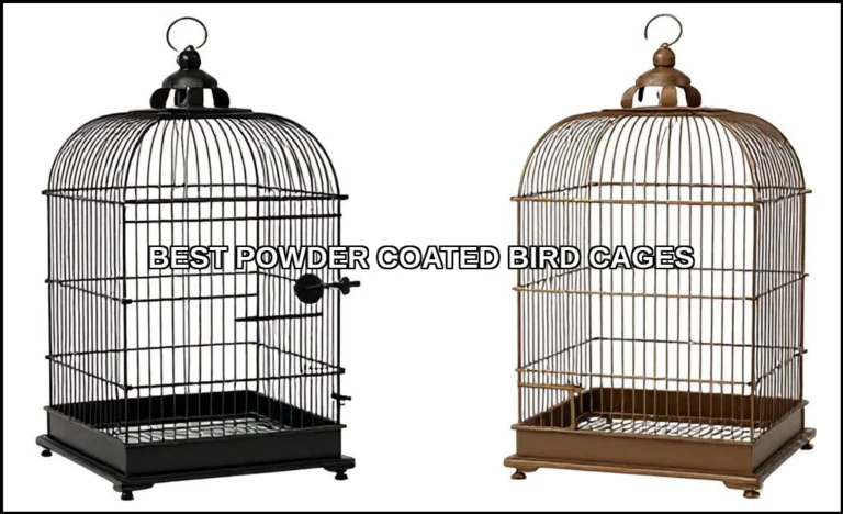 Best powder coated bird cages
