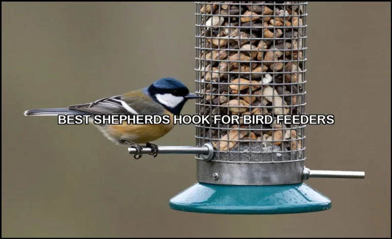 Best shepherds hook for bird feeders