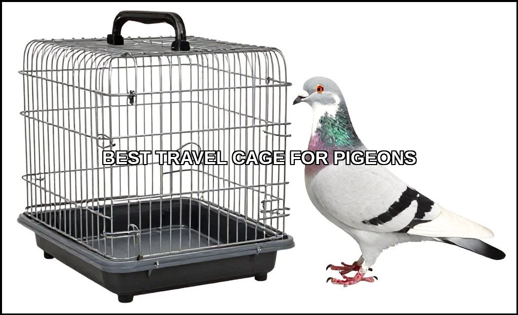 Best travel cage for pigeons