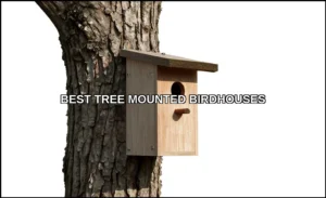 Best tree mounted birdhouses