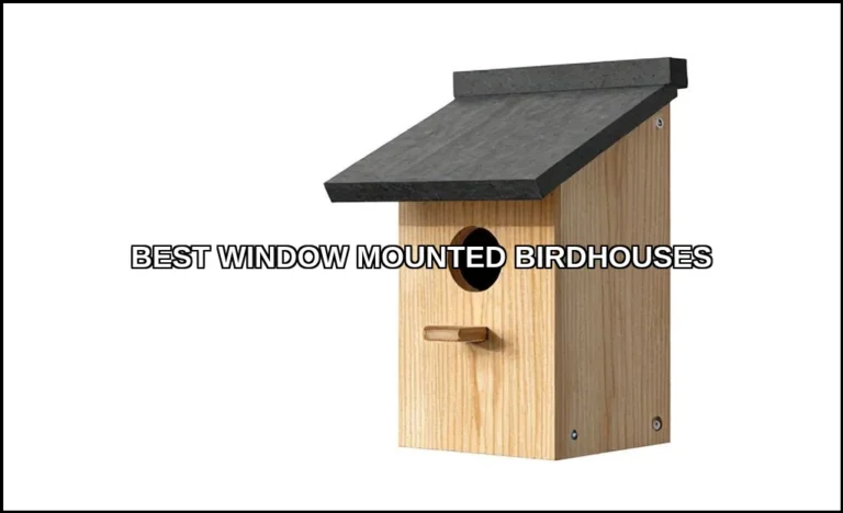Best window mounted birdhouses