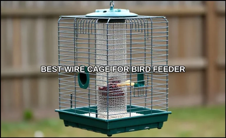 Best wire cage for bird feeder