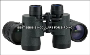 Best zeiss binoculars for birding
