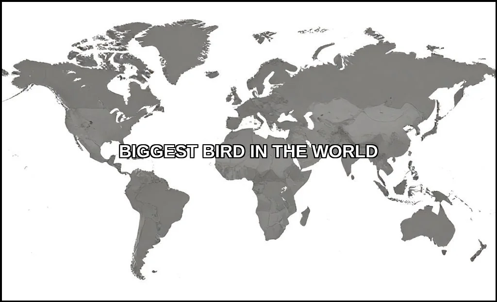 Biggest bird in the world
