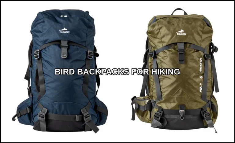 Bird backpacks for hiking
