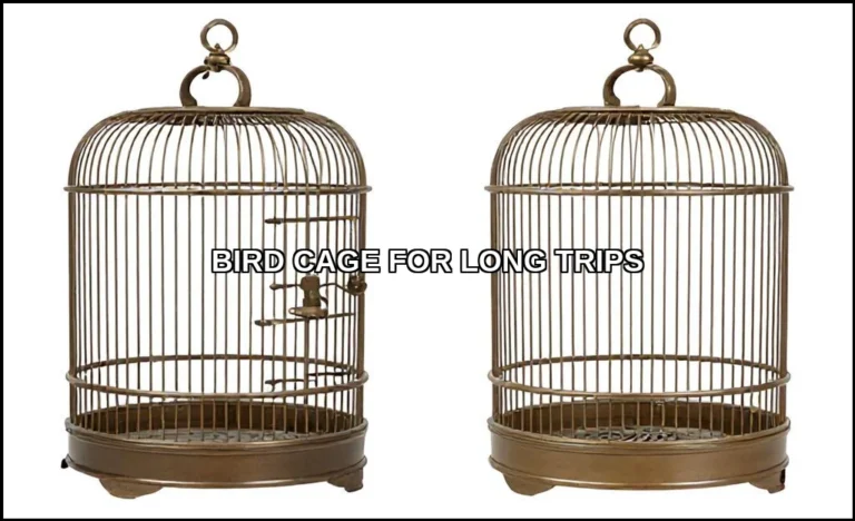Bird cage for long trips