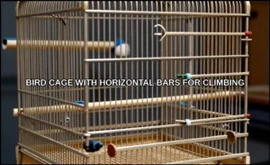Bird cage with horizontal bars for climbing