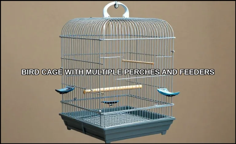 Bird cage with multiple perches and feeders