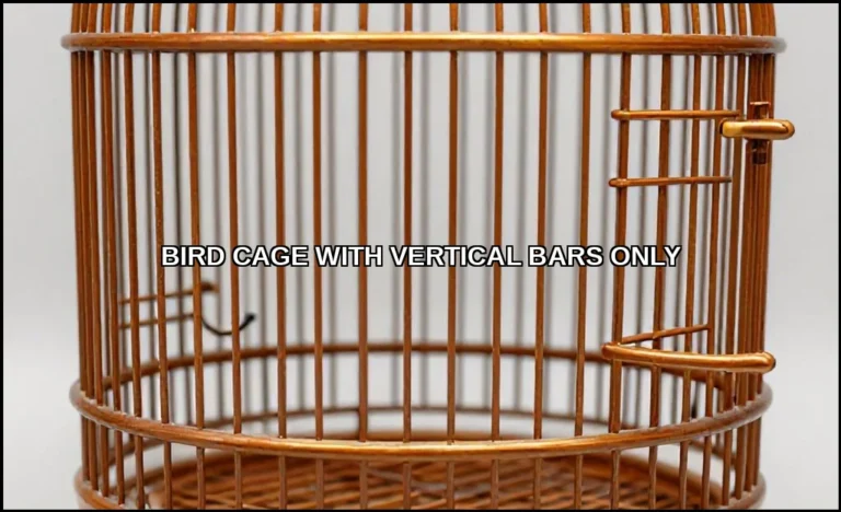 Bird cage with vertical bars only