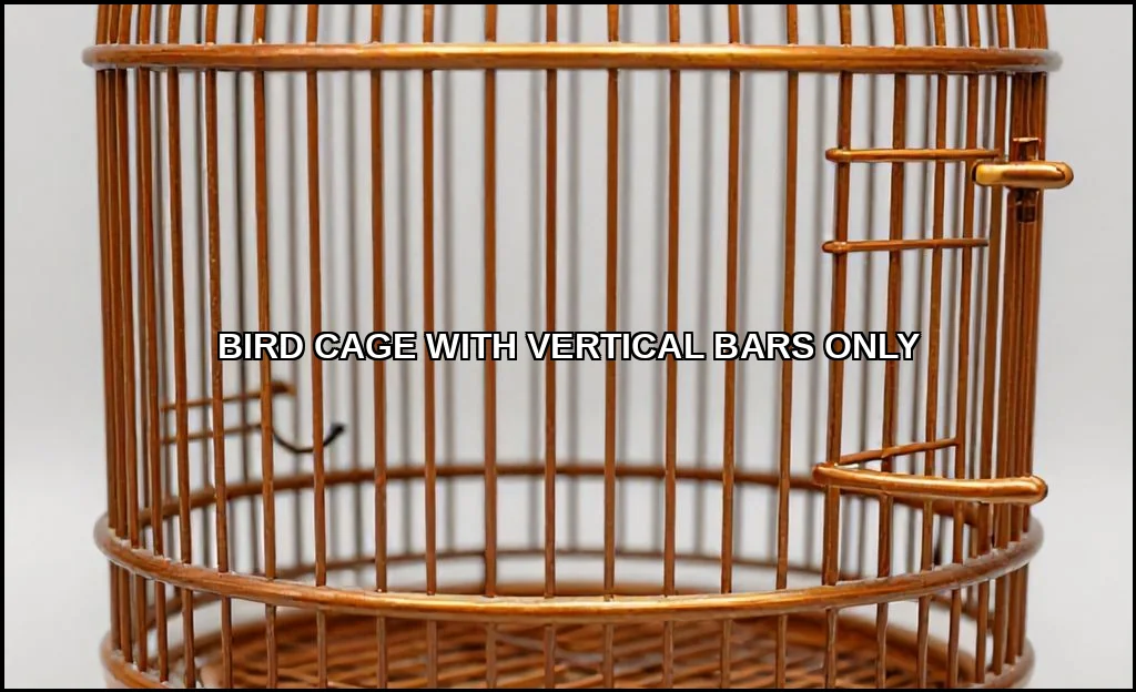 Bird cage with vertical bars only