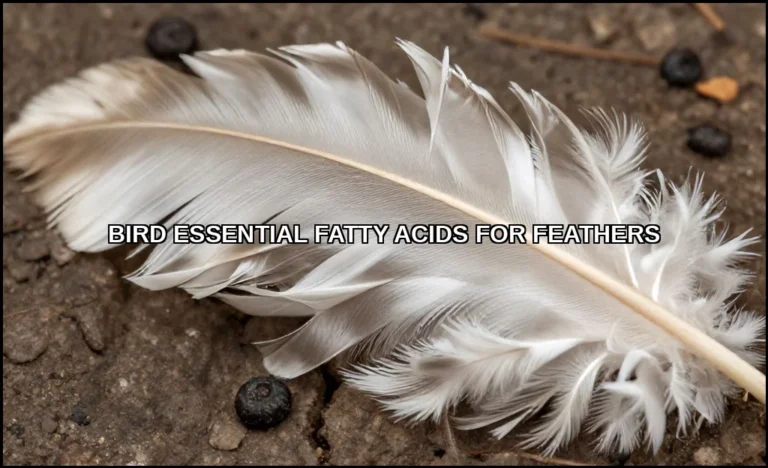 Bird essential fatty acids for feathers