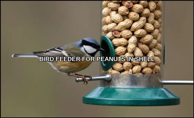 Bird feeder for peanuts in shell