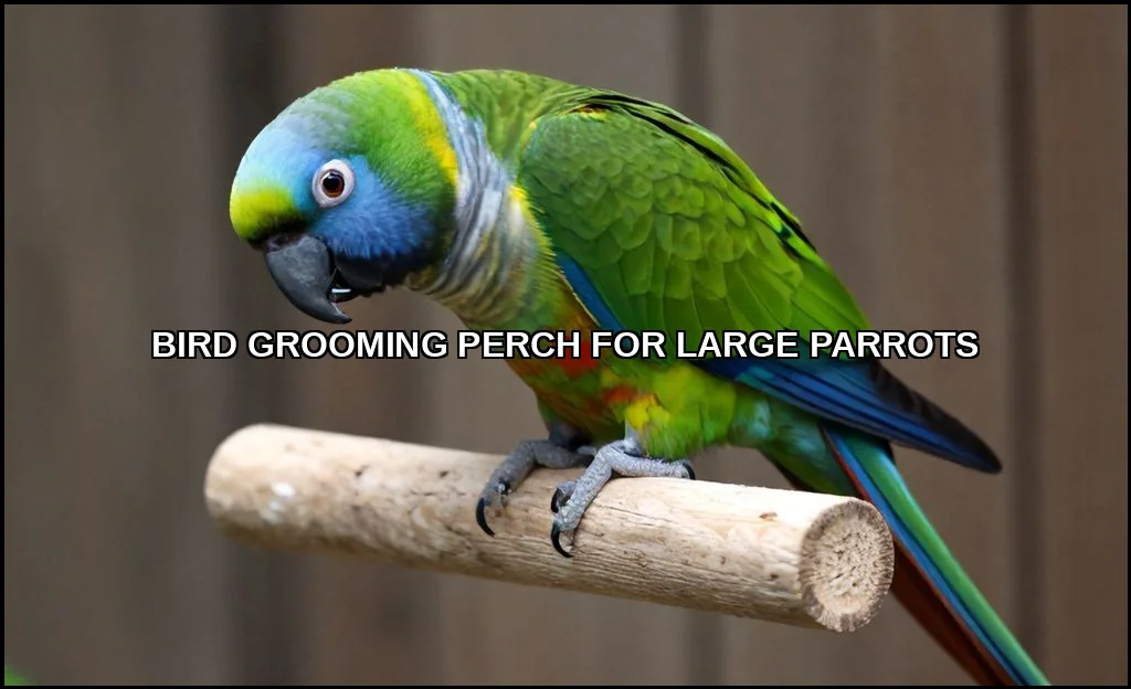 Bird grooming perch for large parrots