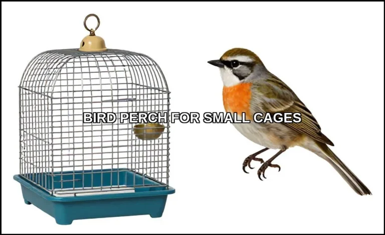 Bird perch for small cages