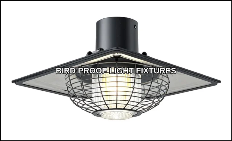 Bird proof light fixtures