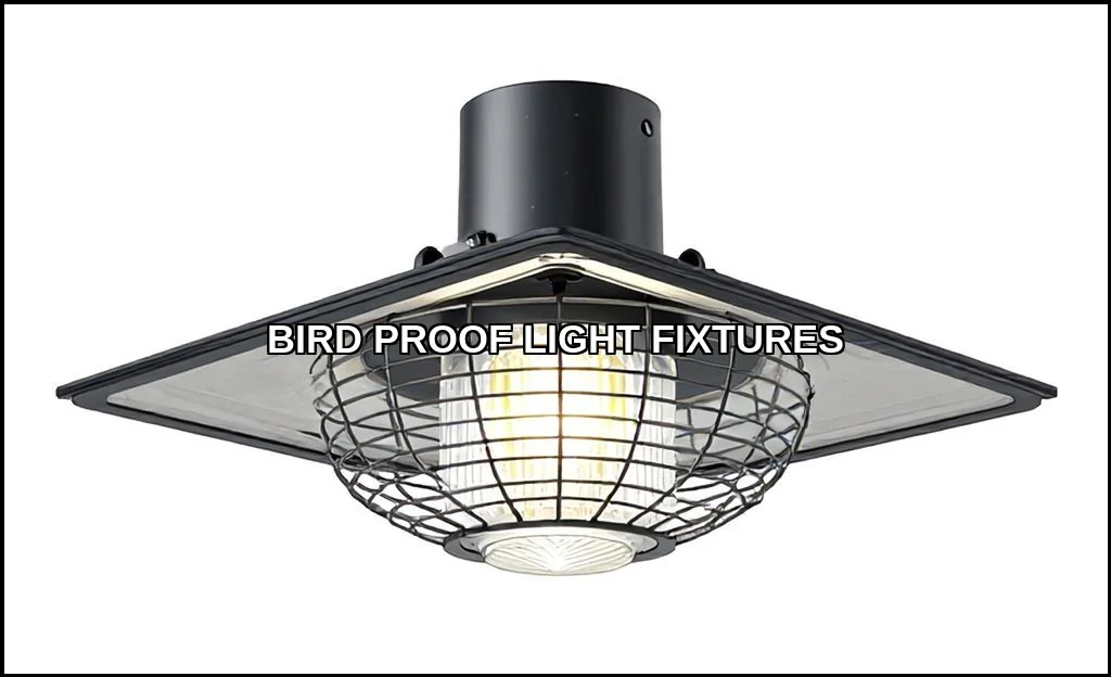 Bird proof light fixtures
