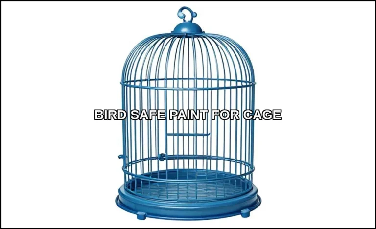 Bird safe paint for cage