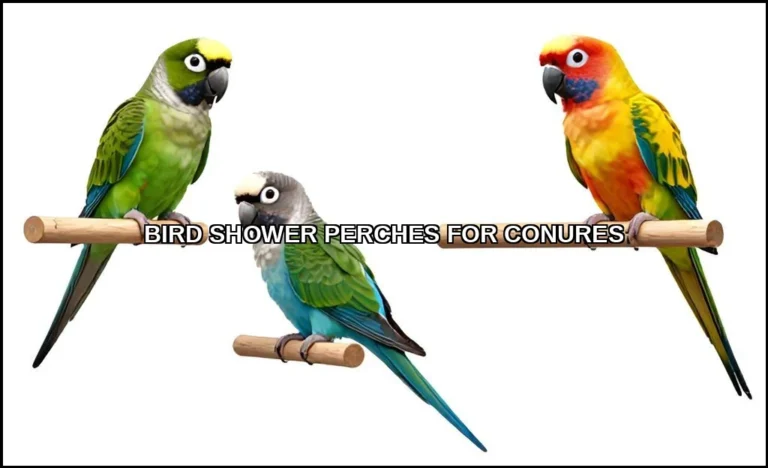 Bird shower perches for conures