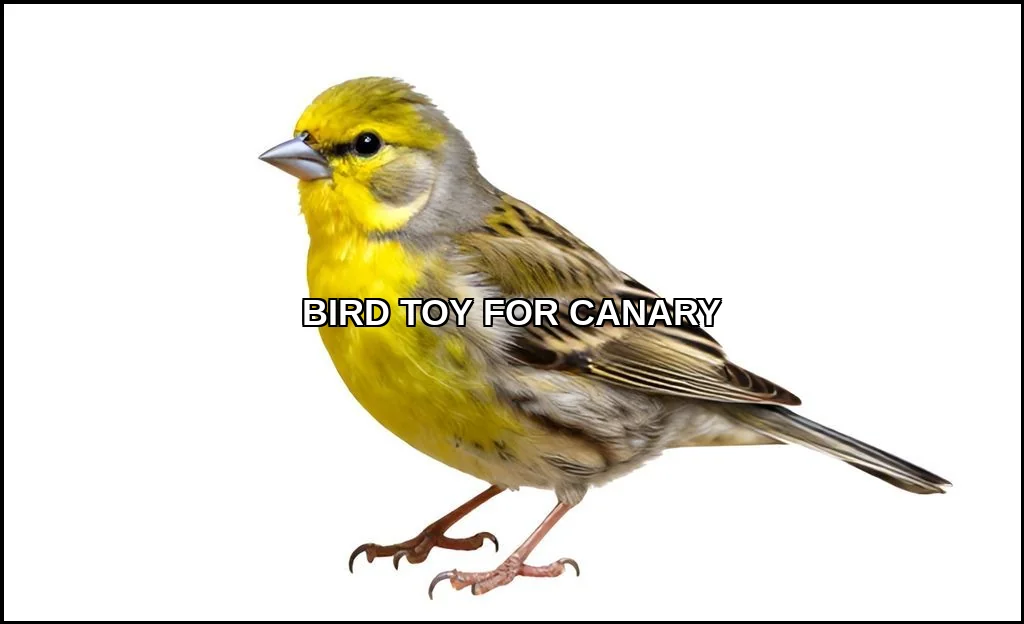 Bird toy for canary