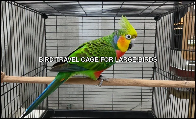 Bird travel cage for large birds