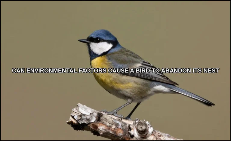 Can environmental factors cause a bird to abandon
