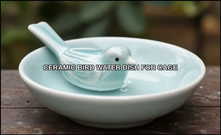 Ceramic bird water dish for cage