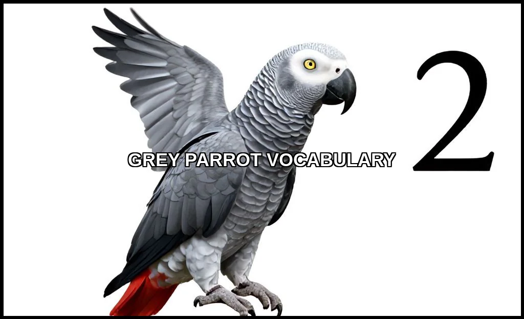 Grey parrot vocabulary